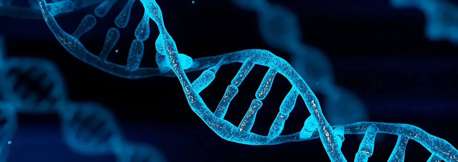 DNA